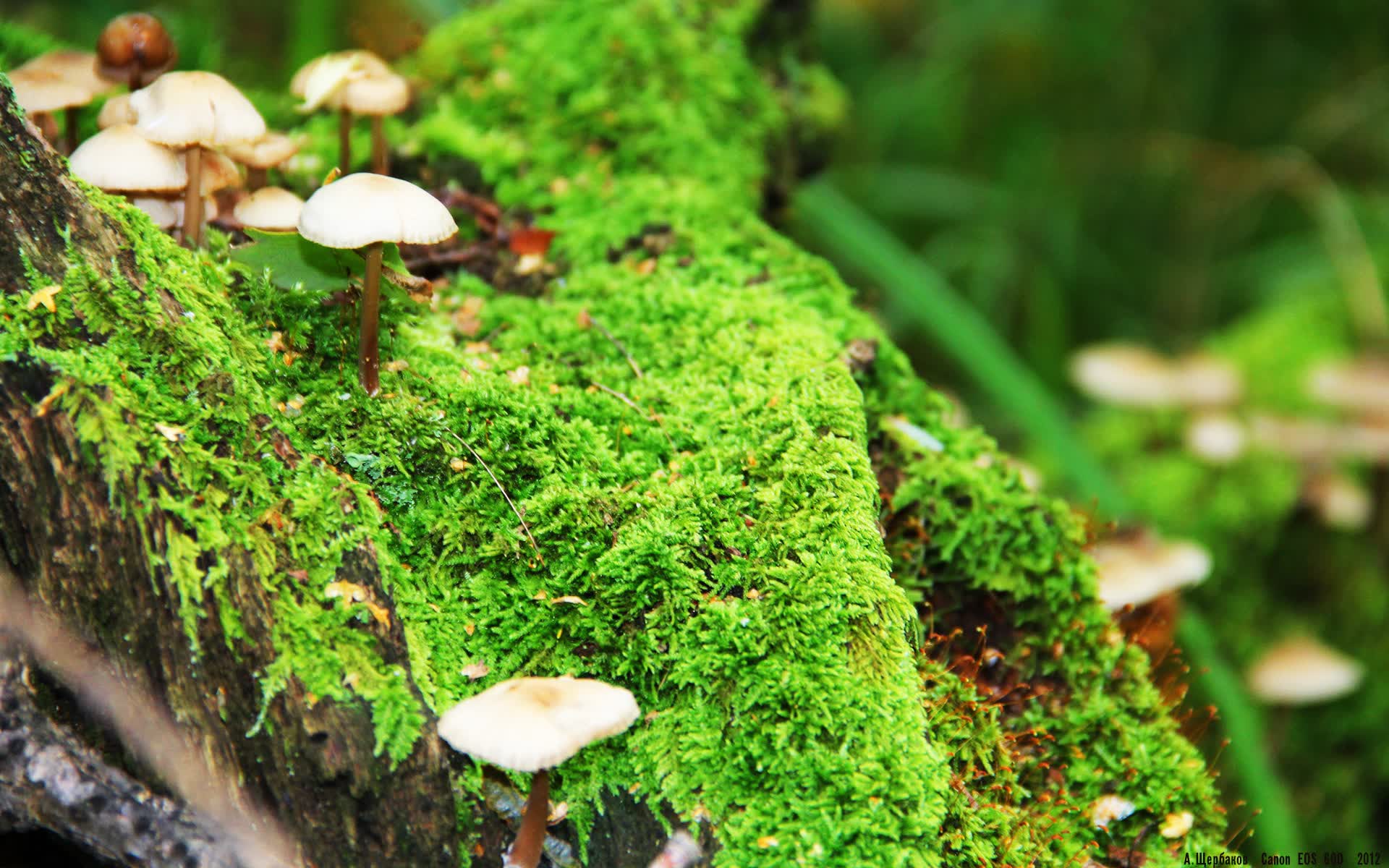 世界举重康复在线课堂新增康复评估长期趋势模块上线，世界举重最新排名